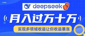 用DeepSeek席卷各大平台，快速上手实现多领域，让你收入猛增-糊涂帮