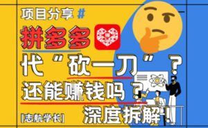 【2025最新】拼多多代坎助力项目深度拆解：还能挣钱吗?全流程玩法-糊涂帮