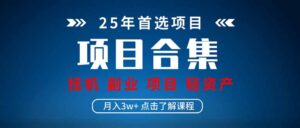 2025 实操项目合集 挂机类型 直播类型 轻资产创业类型 课程分享各项目…-糊涂帮