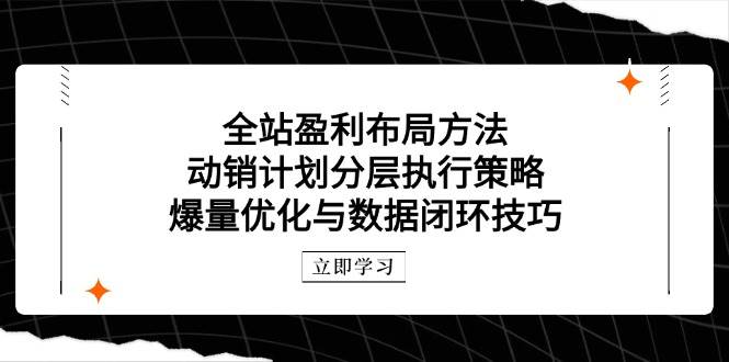 全站盈利布局方法：动销计划分层执行策略，爆量优化与数据闭环技巧-糊涂帮