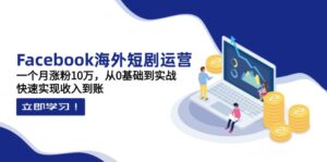 Facebook海外短剧运营：一个月涨粉10万，从0基础到实战，快速实现收入到账-糊涂帮
