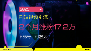 2025AI短视频引流，2个月涨粉17.2万，不死号，可放大-糊涂帮