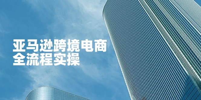 亚马逊跨境电商全流程实操，教你从零开始，掌握店铺运营与广告技巧-糊涂帮