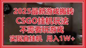 2025最新游戏搬砖，CSGO挂机，不需要玩游戏，实现真挂机，月入1W+-糊涂帮