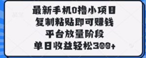 最新手机0撸小项目，复制粘贴即可挣钱，平台放量阶段，单日收益轻松3张+-糊涂帮