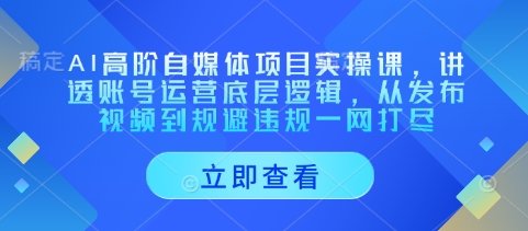 AI高阶自媒体项目实操课，讲透账号运营底层逻辑，从发布视频到规避违规一网打尽-糊涂帮
