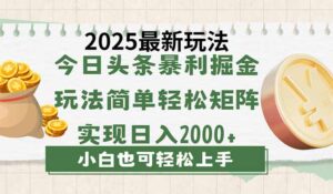 今日头条2025最新玩法，思路简单，复制粘贴，轻松实现矩阵日入2000+-糊涂帮