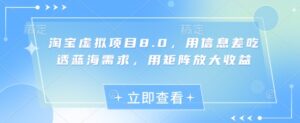 淘宝虚拟项目8.0，用信息差吃透蓝海需求，用矩阵放大收益-糊涂帮