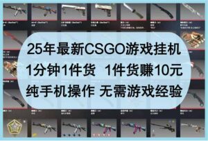 25年最新CSGO游戏挂机，1分钟1件货，1件货赚10元 纯手机操作 无需游戏经验-糊涂帮
