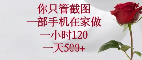 你只管截图，一部手机在家操作，一小时120.一天5张-糊涂帮