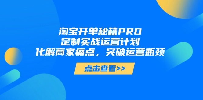 淘宝开单秘籍PRO，定制实战运营计划，化解商家痛点，突破运营瓶颈-糊涂帮
