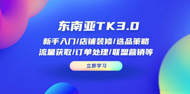 东南亚TK3.0：新手入门/店铺装修/选品策略/流量获取/订单处理/联盟营销等-糊涂帮