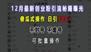 12月最新创业粉引流秘籍曝光 傻瓜式操作 日引500+ 不封号 不废号 可批量操作-糊涂帮