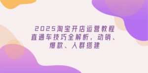 2025淘宝开店运营教程更新,直通车技巧全解析,动销、爆款、人群搭建-糊涂帮