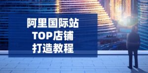 阿里国际站TOP店铺打造教程：涵盖平台到高阶，解决运营难题，提升询盘-糊涂帮