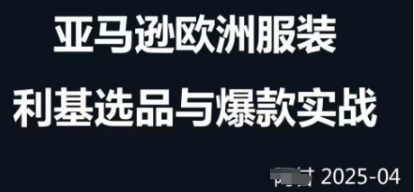 跨境电商选品案例24-25年，聚焦跨境电商选品策略与运营优化，助力卖家挖掘蓝海市场-糊涂帮