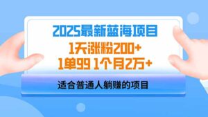 2025蓝海项目 1天涨粉200+ 1单99 1个月2万+-糊涂帮