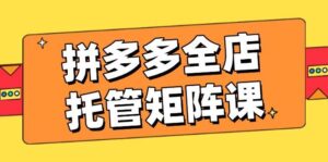 拼多多全店托管矩阵课，盈利动销玩法，高效计划设置，提升店铺效益-糊涂帮