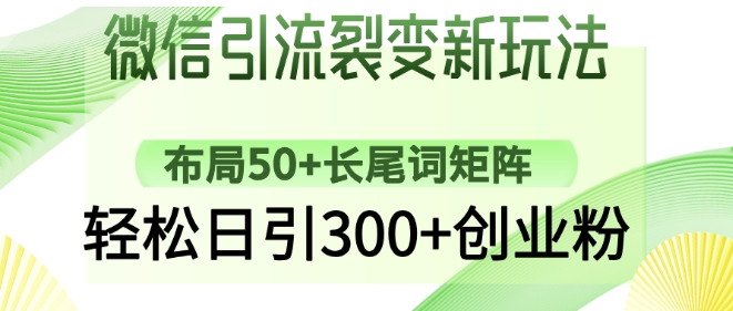 微信引流裂变新玩法：布局50+长尾词矩阵，轻松日引300+创业粉-糊涂帮