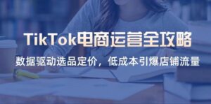 TikTok电商运营全攻略，数据驱动选品定价，低成本引爆店铺流量-糊涂帮