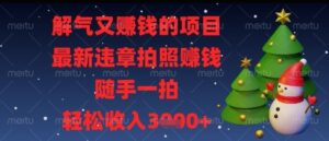 解气又挣钱的项目，最新违章拍照挣钱，随手一拍，轻松收入多张-糊涂帮