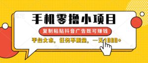 手机零撸小项目，复制粘贴抖音广告即可赚钱，平台大水，任务不限量，一…-糊涂帮