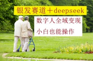 银发赛道+deepseek数字人全域变现，小白也能操作-糊涂帮