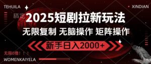 2025短剧拉新玩法，无需注册登录，无限0撸，无脑批量操作日入2000+-糊涂帮