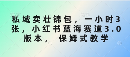 私域卖壮锦包，一小时3张，小红书蓝海赛道3.0版本， 保姆式教学-糊涂帮