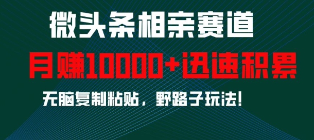 微头条相亲赛道，迅速积累，无脑复制粘贴，野路子玩法，月入1w-糊涂帮