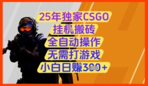 25年独家CSGO挂G搬砖，全自动操作，无需打游戏，小白日入3张+-糊涂帮