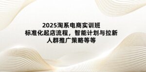 2025淘系电商实训班：标准化起店流程，智能计划与拉新，人群推广策略等等-糊涂帮