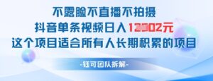 不露脸不直播不拍摄抖音单条视频日入1k+这个项目适合所有人长期积累的项目-糊涂帮