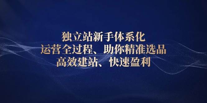 独立站新手体系化 运营全过程，助你精准选品、高效建站、快速盈利-糊涂帮