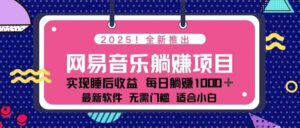 2025最新网易云躺赚项目 每天几分钟 轻松3万+-糊涂帮
