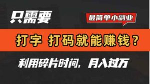 只需要打字，打码，就能赚钱？简单的赚钱小副业，利用碎片时间，月入过万-糊涂帮