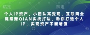 个人IP资产，小团队高变现，互联网全链路赚QIAN实战打法，助你打造个人IP，实现资产不断增值-糊涂帮