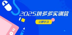 2025拼多多实训营：深度剖析运营关键，助力电商人快速提升-糊涂帮