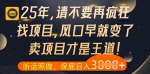 什么？25年你还在疯狂找项目做，醒醒吧，看完这些你全都懂了-糊涂帮