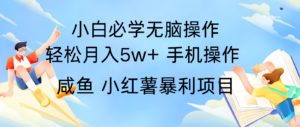 全网首发2024最暴利手机操作项目，简单无脑操作，每单利润最少500+-糊涂帮