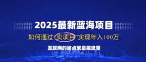 2025最新蓝海项目，零门槛轻松复制，月入10万+，新手也能操作！-糊涂帮