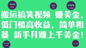 搬运搞笑视频挣美金，低门槛高收益，简单粗暴新手月入上千美刀-糊涂帮
