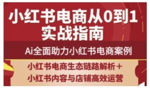 2025小红书电商全链路运营,Ai全面助力小红书电商案例-糊涂帮