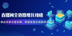 直播间全链路增长攻略，爆品场景流量拆解，数据复盘店铺霸榜实战-糊涂帮