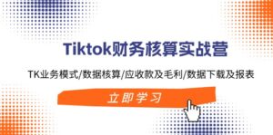 Tiktok财务核算实战营：TK业务模式/数据核算/应收款及毛利/数据下载及报表-糊涂帮