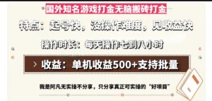 国外知名游戏打金无脑搬砖单机收益500，每天操作七到八个小时-糊涂帮