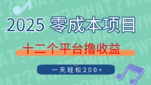 2025年零成本项目，十二个平台撸收益，单号一天轻松200+-糊涂帮