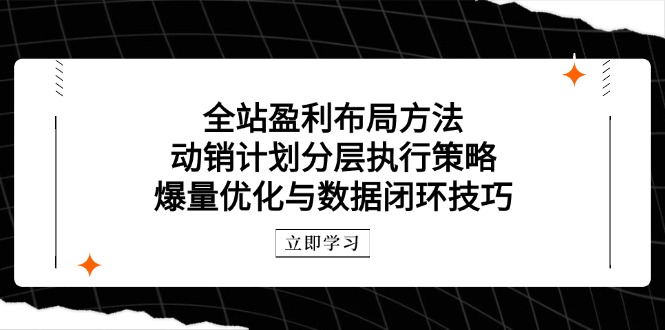 全站盈利布局方法：动销计划分层执行策略，爆量优化与数据闭环技巧-糊涂帮