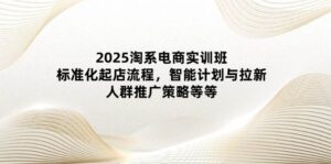 2025淘系电商实训班：标准化起店流程，智能计划与拉新，人群推广策略等等-糊涂帮