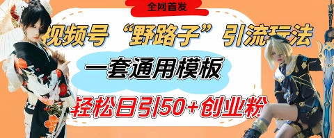 视频号“野路子”玩法，评论区疯狂截流，一套模板单日单号引流50+创业粉-糊涂帮